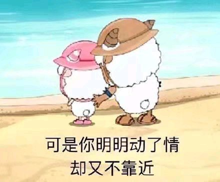 微信近期斗图恶搞表情包2020/6/5(二)