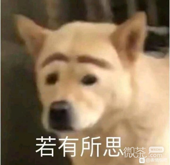 让人虎躯一震软妹必备表情包