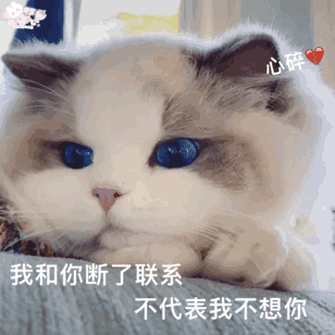 微信近期斗图恶搞表情包2020/6/5（二）