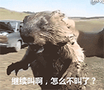 微信搞笑无厘头表情包6/8（二）