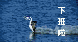 微信搞笑无厘头表情包6/8（一）