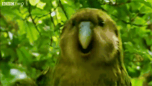 微信搞笑无厘头表情包6/8（一）