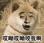 微信搞笑无厘头表情包6/8（二）