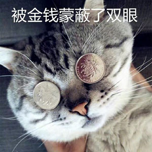 微信搞笑无厘头表情包6/8（一）