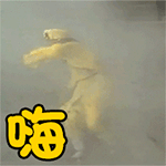 微信搞笑无厘头表情包6/8（二）