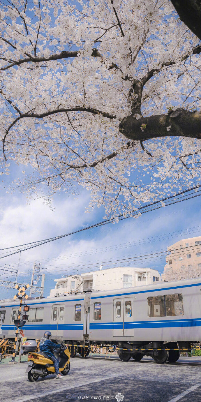 城市静物风景ins聊天背景图