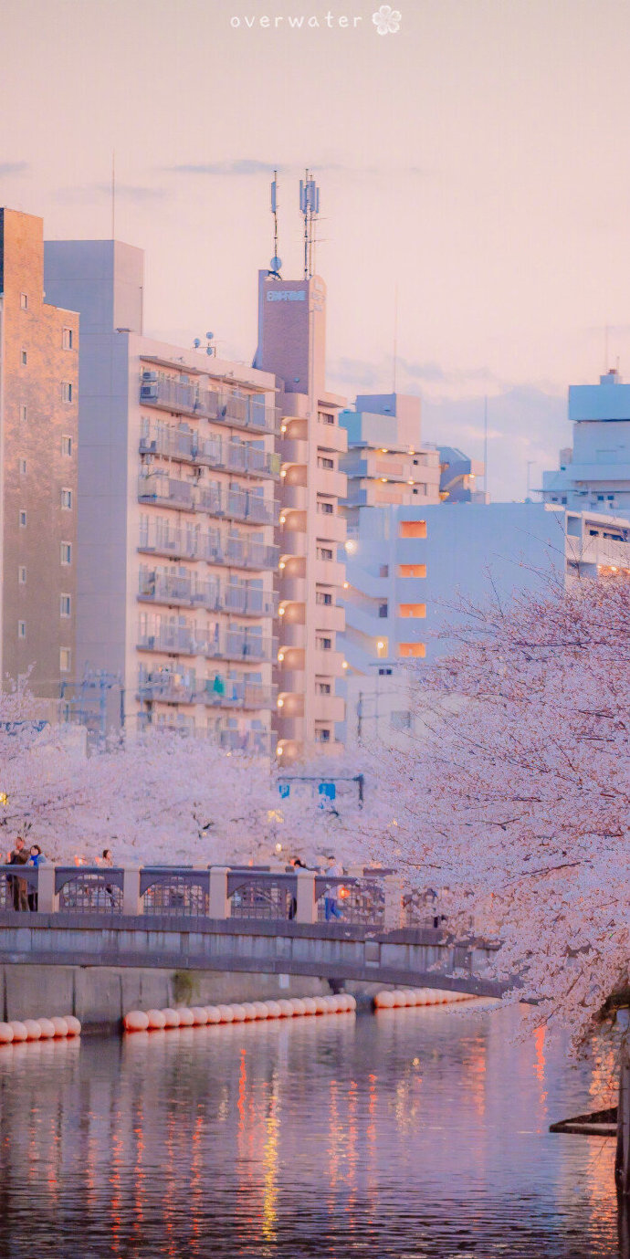 城市静物风景ins聊天背景图