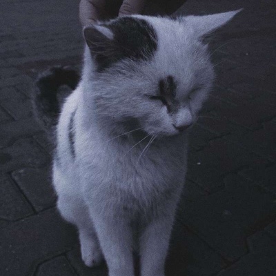 ins唯美伤感风背景图