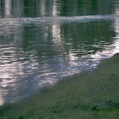 唯美绿色系治愈背景图