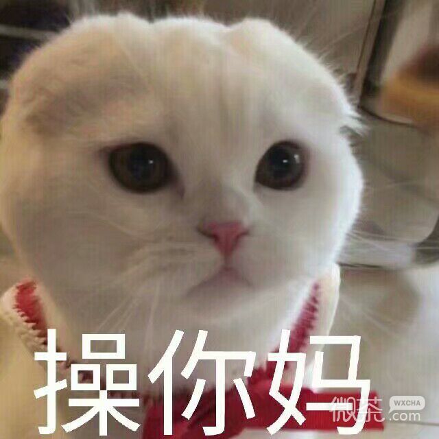 微信近期斗图恶搞表情包2020/6/9