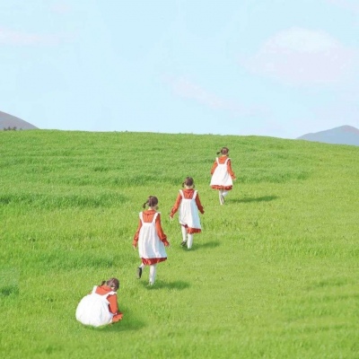 唯美绿色系治愈背景图