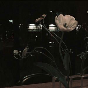 暗黑系唯美背景图