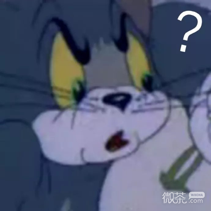 猫和老鼠疑问微信表情包