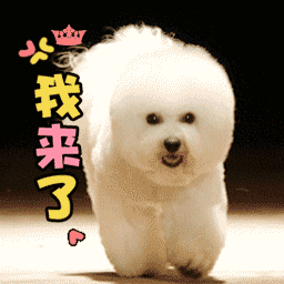 微信搞笑无厘头表情包6/10（二）