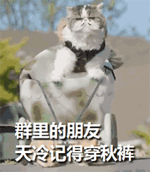 微信搞笑无厘头表情包6/10（三）