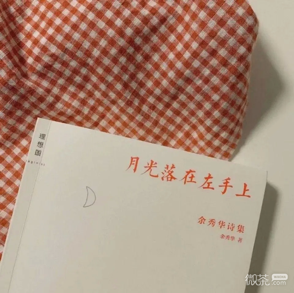 微信文艺清新静物朋友圈配图