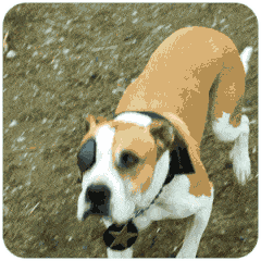 微信搞笑无厘头表情包6/10（一）