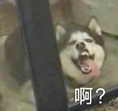 微信近期斗图恶搞表情包2020/6/10