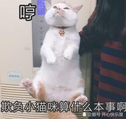 微信近期斗图恶搞表情包2020/6/11