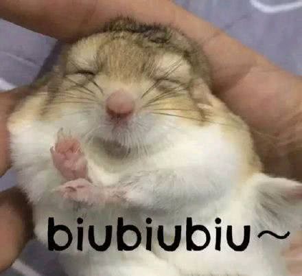 微信近期斗图恶搞表情包2020/6/11