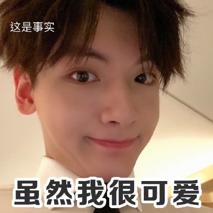 翟潇闻微信表情包