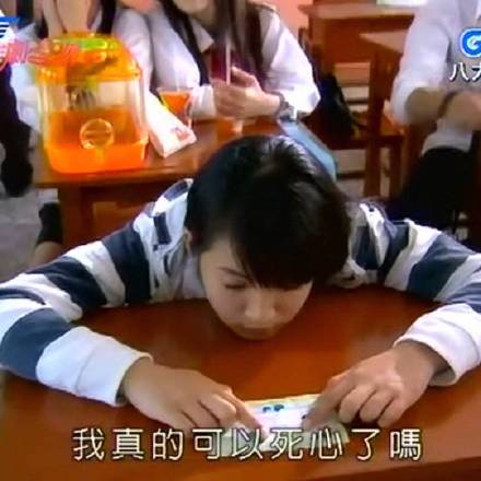 娱乐圈吃瓜追星女孩必备专用表情包