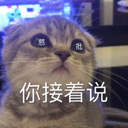 猫猫表情包合集三