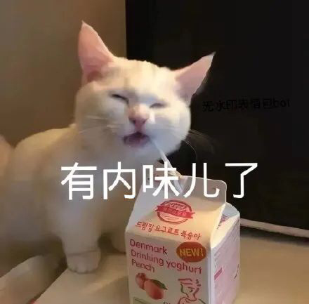猫猫表情包合集三