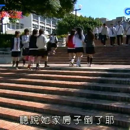 娱乐圈吃瓜追星女孩必备专用表情包