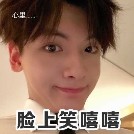 翟潇闻微信表情包
