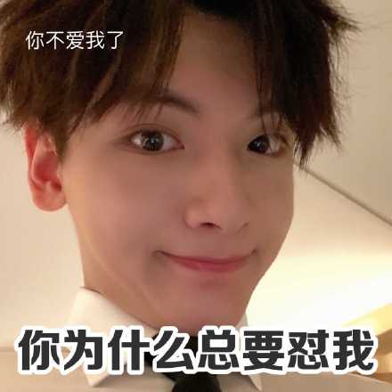 翟潇闻微信表情包