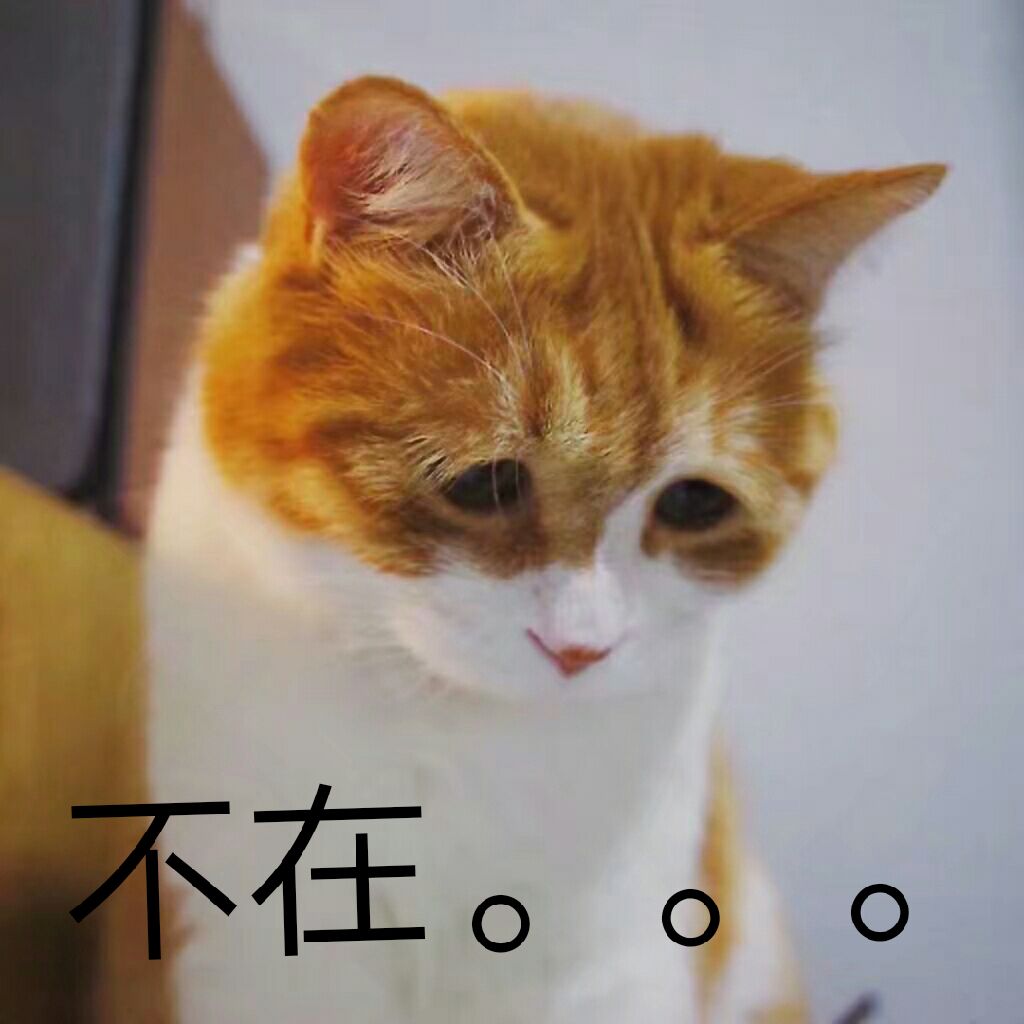 微信近期斗图恶搞表情2020/6/12(二)