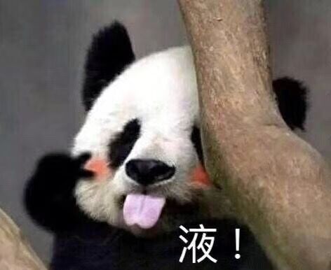 微信近期斗图恶搞表情2020/6/12（二）