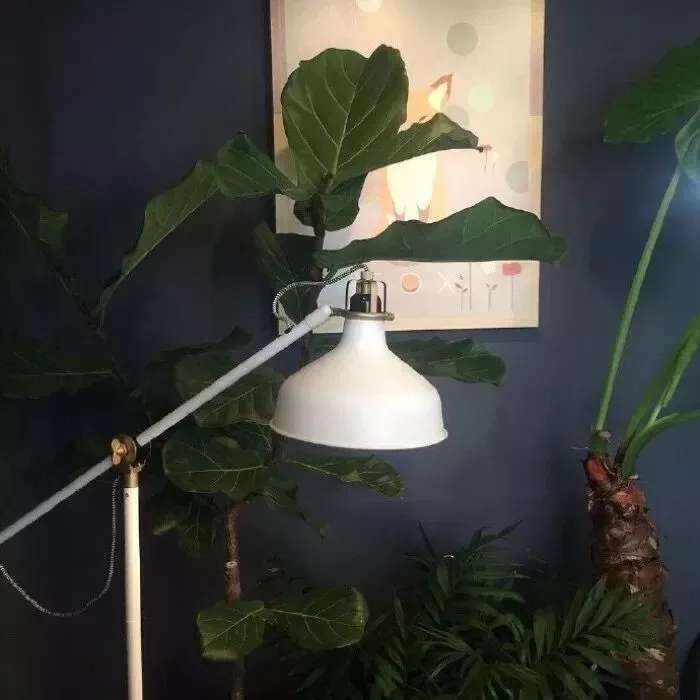 微信温暖阳光微信朋友圈配图