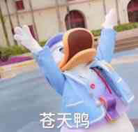 微信近期斗图恶搞表情包2020/6/12