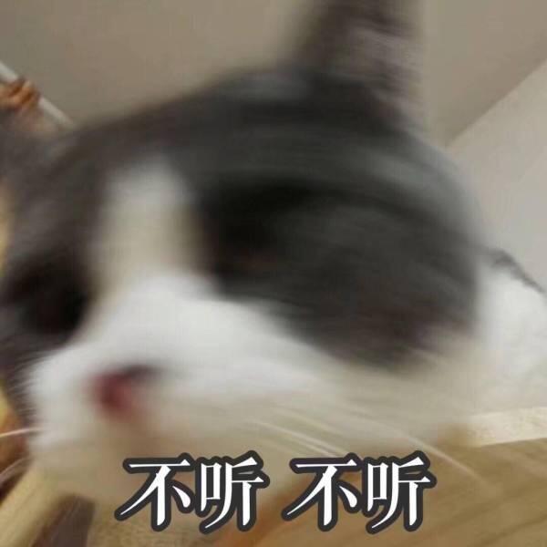 微信近期斗图恶搞表情2020/6/12(二)