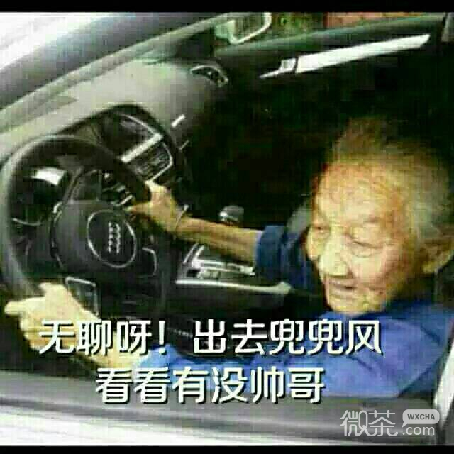 微信近期斗图恶搞表情包2020/6/12