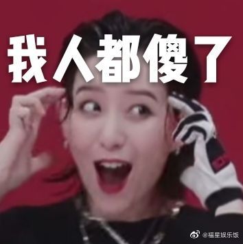 乘风破浪的姐姐表情包