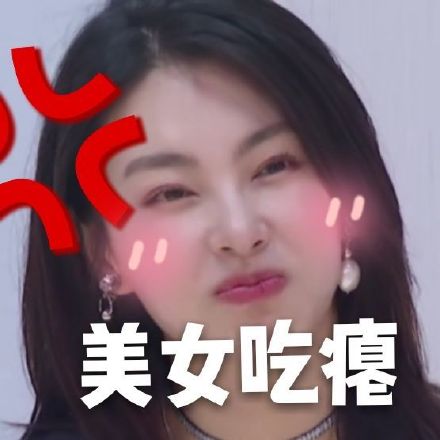 乘风破浪的姐姐表情包