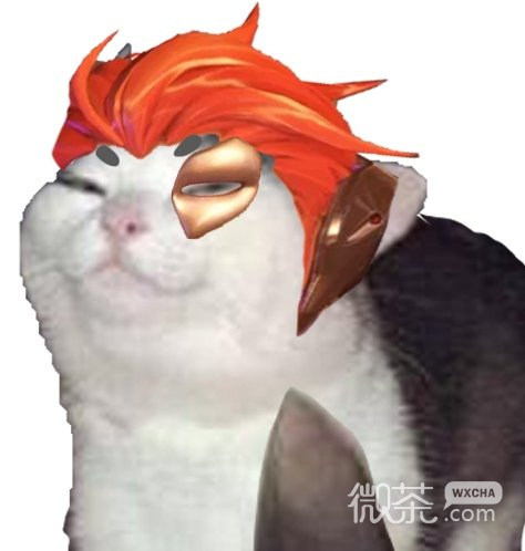 猫猫守望先锋微信表情包