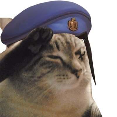 猫猫守望先锋微信表情包