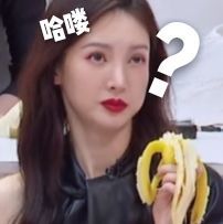 乘风破浪的姐姐表情包