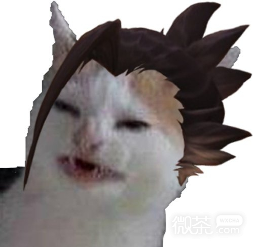 猫猫守望先锋微信表情包