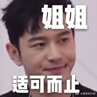 乘风破浪的姐姐表情包