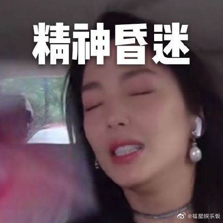 乘风破浪的姐姐表情包