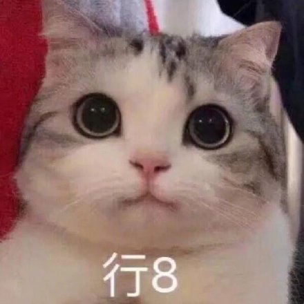 微信搞笑无厘头表情包6/16(三)