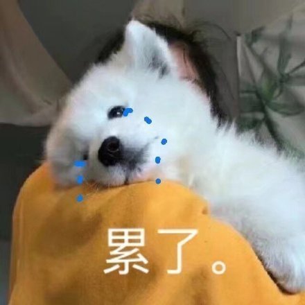 微信搞笑无厘头表情包6/16（三）