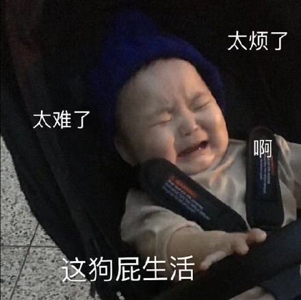 微信搞笑可爱卖萌表情6/16（二）