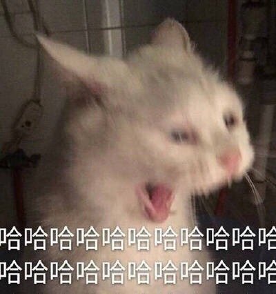 微信搞笑无厘头表情包6/16（三）