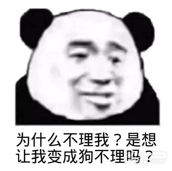 微信近期斗图恶搞表情包2020/6/16（二）